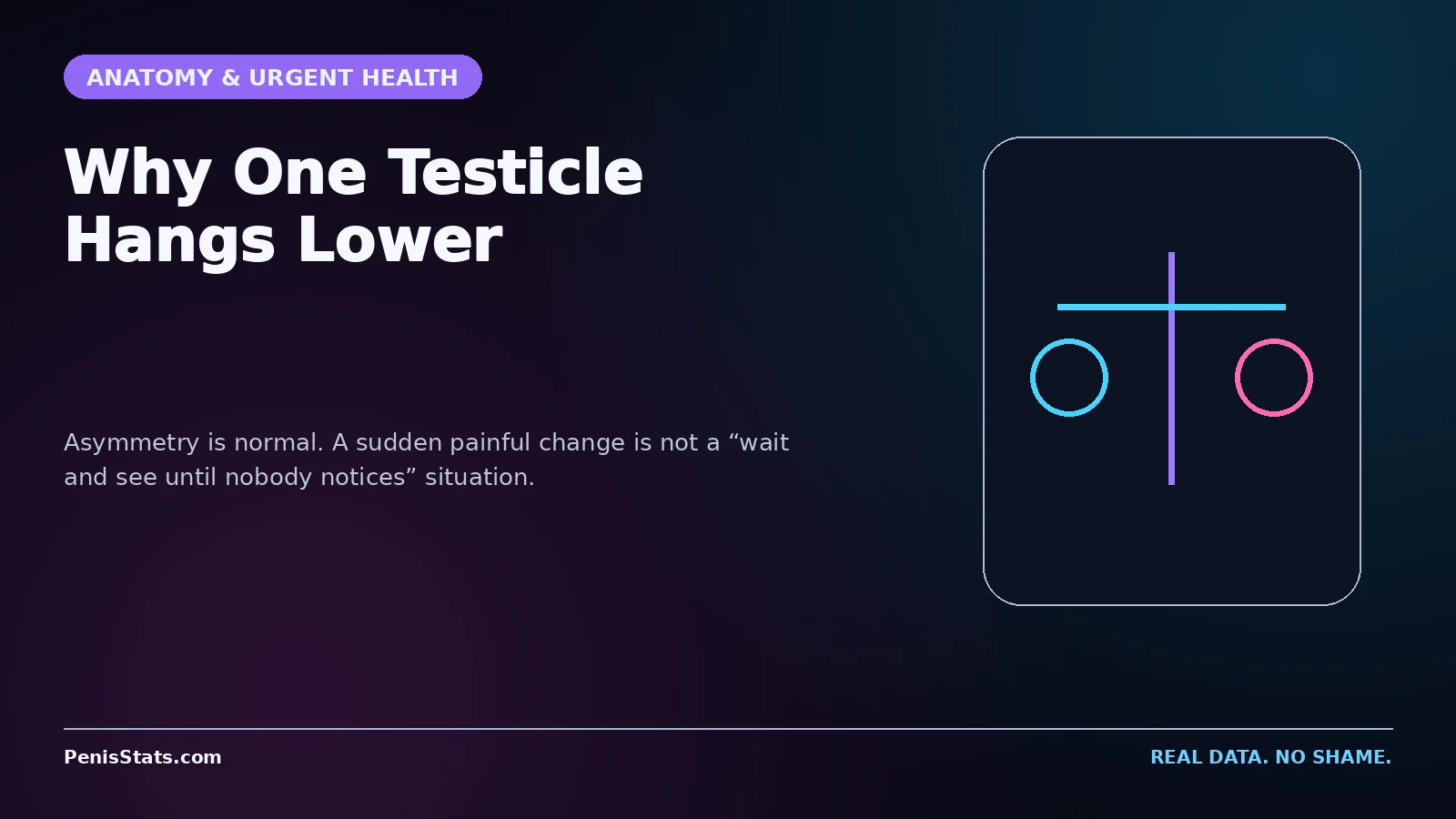 Editorial graphic for Why One Testicle Hangs Lower